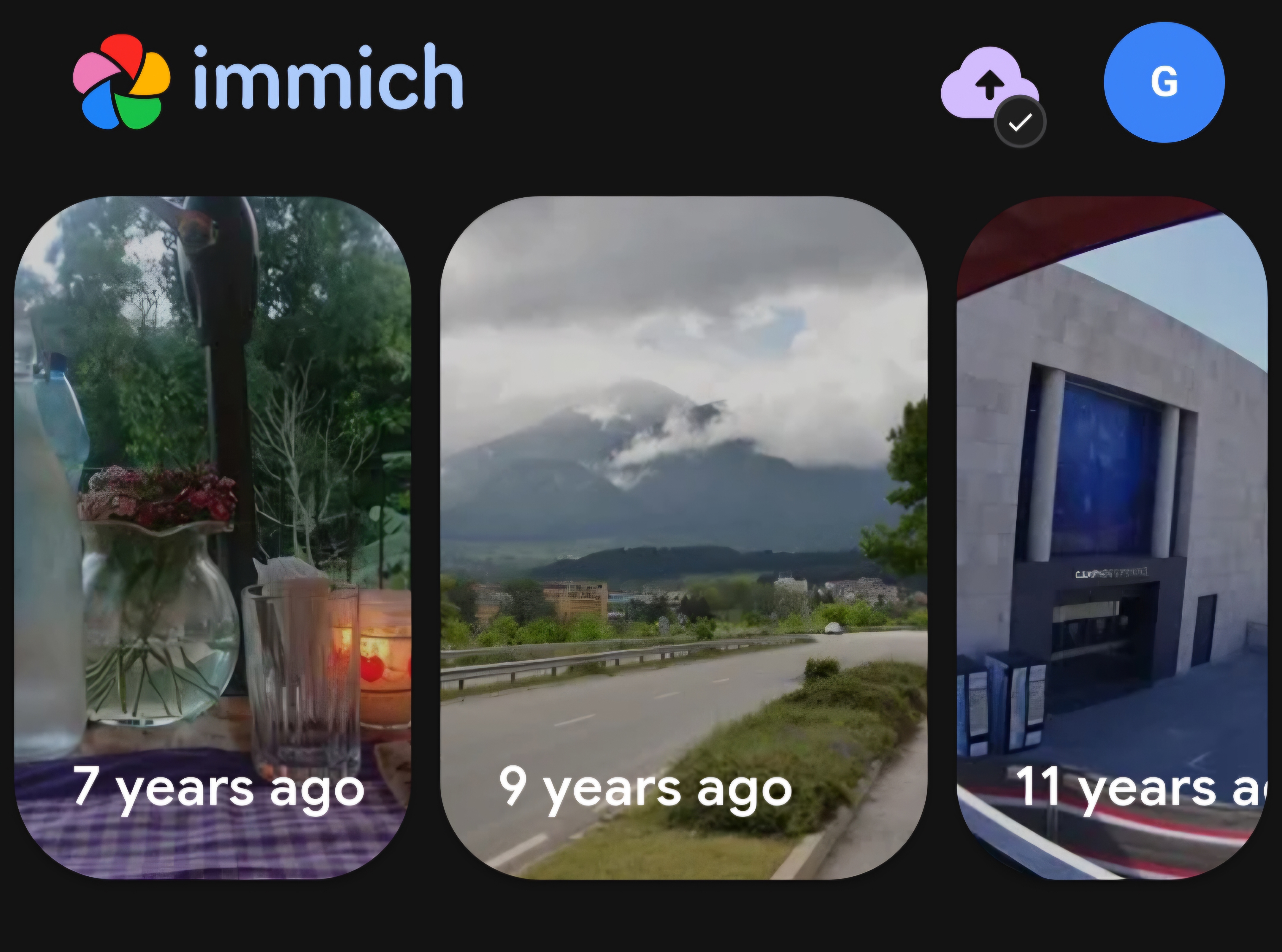 immich